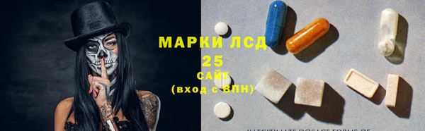 прущие грибы Лихославль