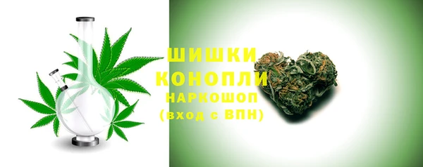 прущие грибы Лихославль