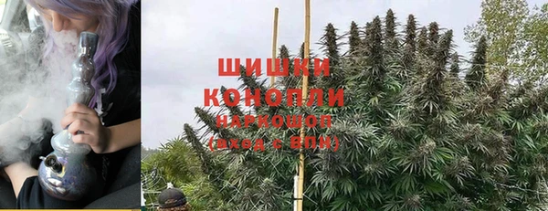 прущие грибы Лихославль